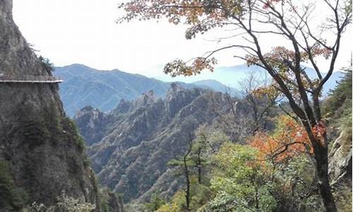 神农架旅游攻略必玩的景点_神农架旅游景点攻略一日游